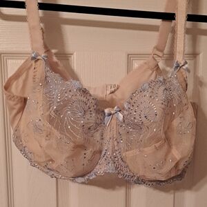Elegant Lace Embroidered Bra